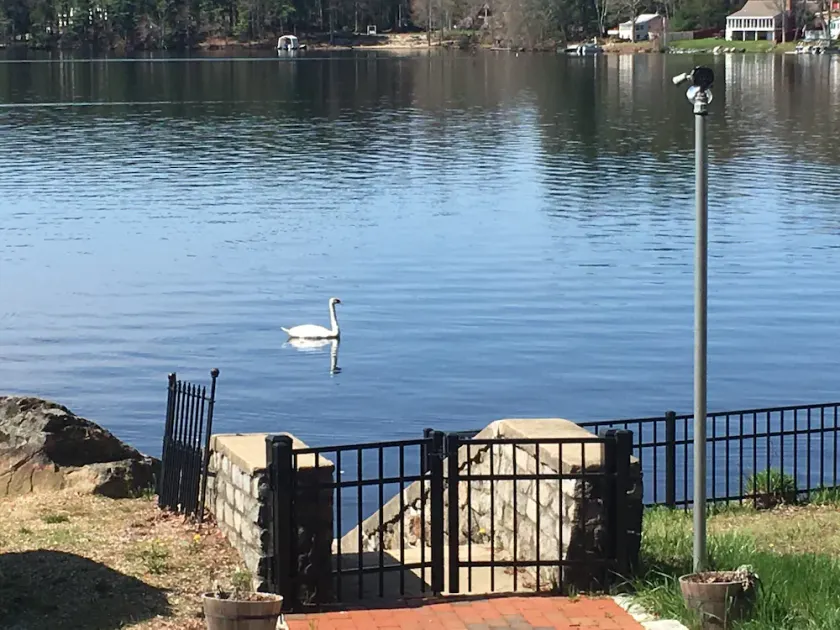 Waterfront, family oriented, large families get together 'Heaven here on earth' - Image 1