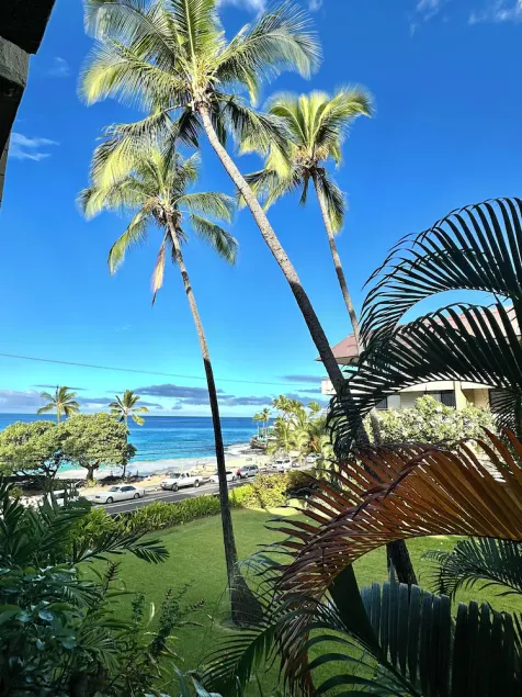 ** Incroyable vue sur l'océan et la plage *** À quelques pas de la plage - Image 1