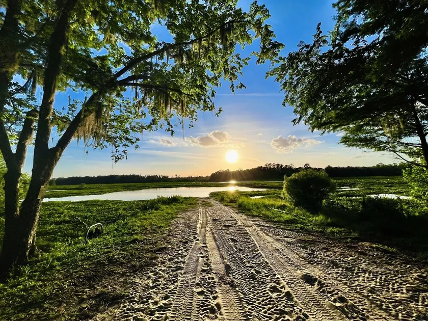 Ocala National forest  Fl-Pet friendly-Juanita’s Cabin  - Image 1