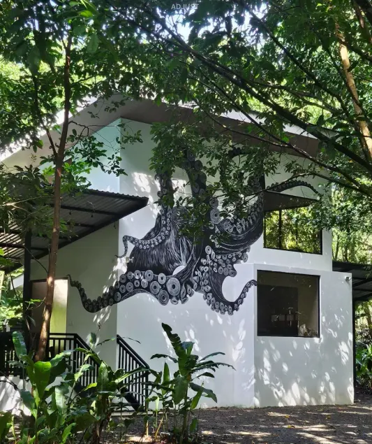 Kraken Cabin-escape in the jungle, abundance of wildlife,  walk to Golfito Bay. - Image 1