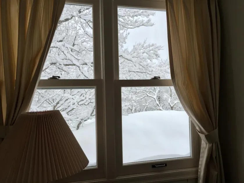Guest House Bunk - Image 1