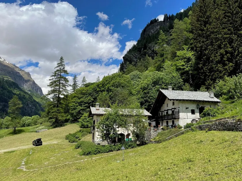 piso / apartamento - Gressoney St. Jean - Image 1