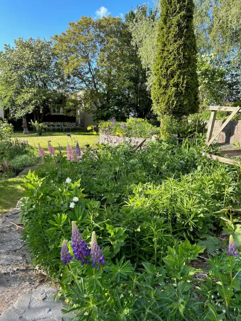 Lilla Huset på Slätten B&B - Image 1