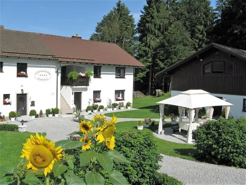 Ferienwohnung mit Südterrasse und kostenfreier WLAN-Nutzung - Image 1