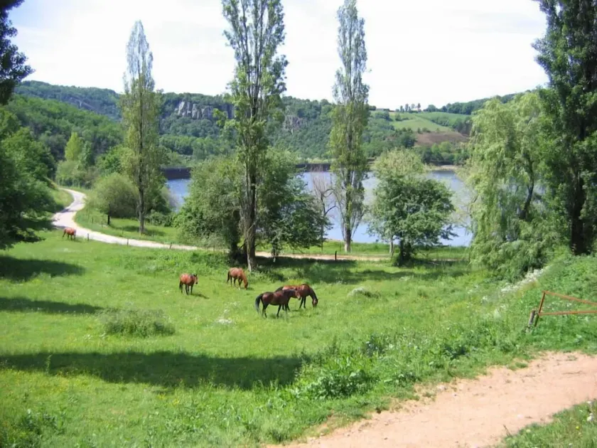 family living at the lake in a cottage in the horse farm - Image 1