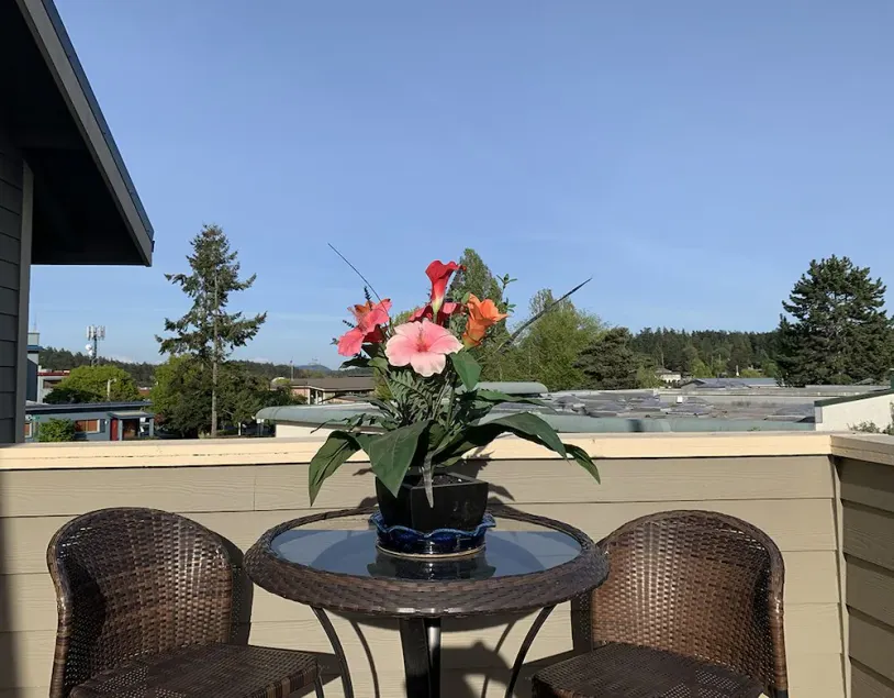 Warm and Bright in the Heart of Downtown Friday Harbor - Image 1