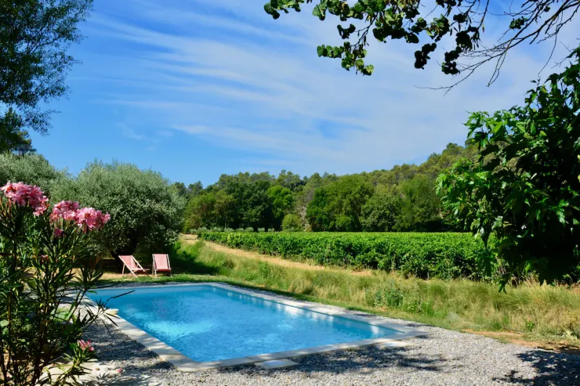 Entre oliviers et vignes, près de Cotignac - Image 1