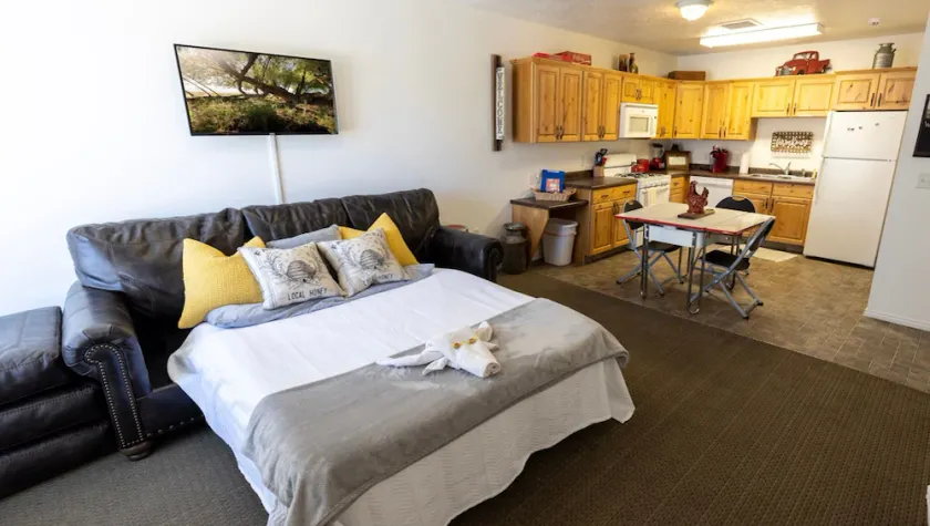 🤠king studio w/Q sleeper+kitchen+washer/dryer+250mbps wi-fi🥾(15mi)maple canyon - Image 1