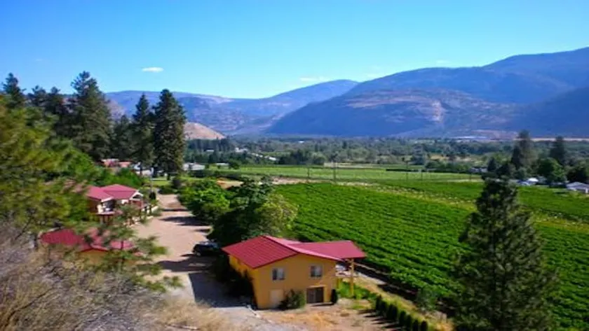 1 BR guest house overlooking a beautiful vineyard  - Image 1