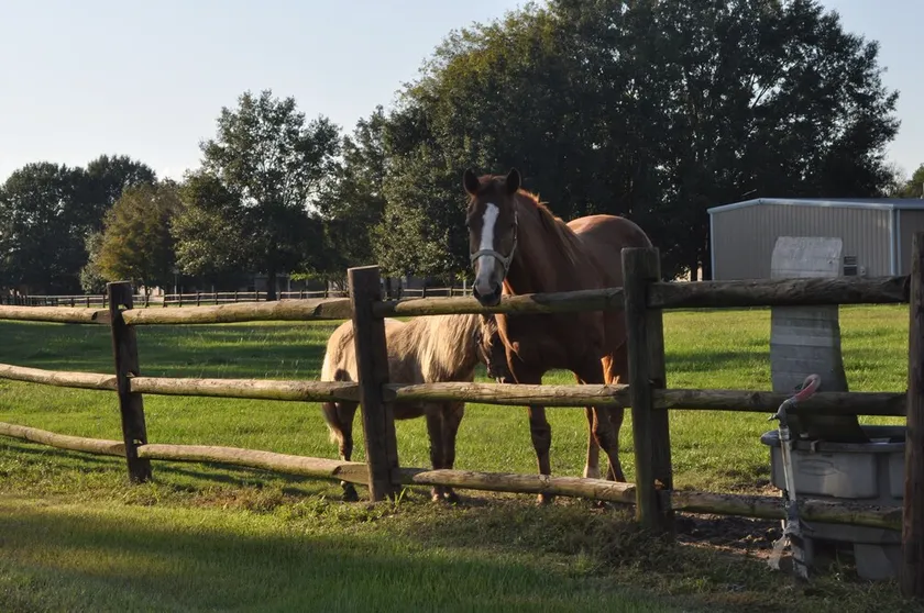 Nyd den fantastiske natur af Farm Charm! - Image 1