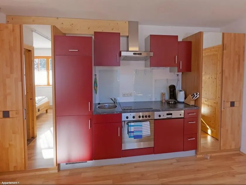 Apartment 1/apartment, shower, WC, 1 bedroom - Appartements Hochegg - Image 1