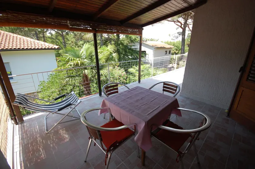 Apartment Leo (Kvarner - Njivice) - Image 1