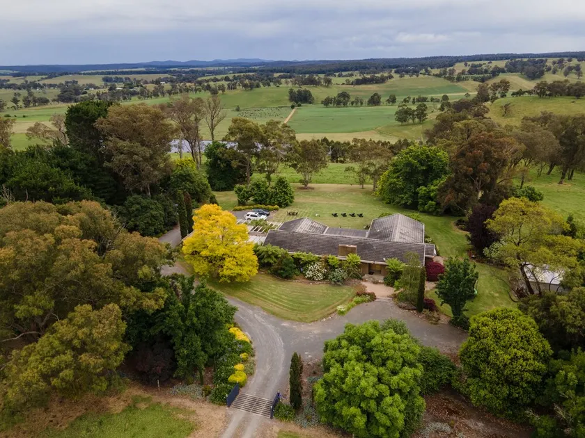 Boutique 4BR Home, Spacious Beautifully Appointed, Views + Breakfast Hamper - Image 1