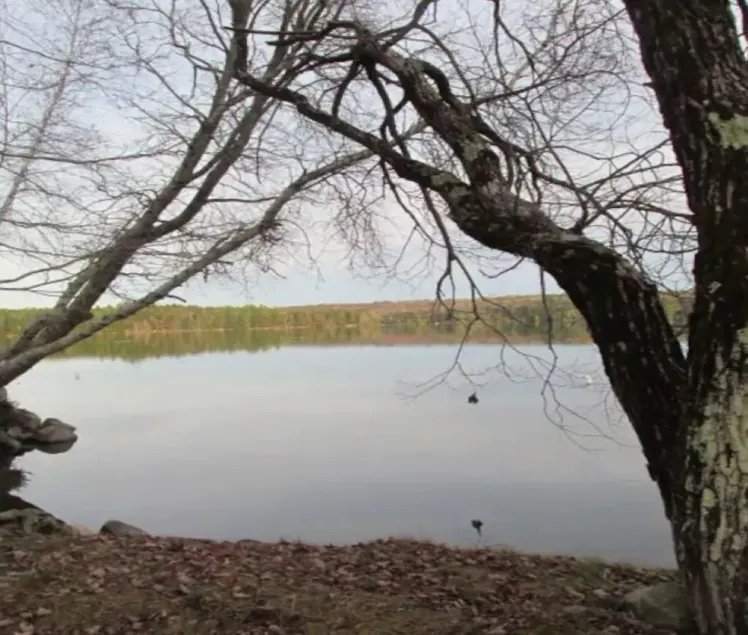 Belgrade Lakes Salmon Waterfront cottage - Image 1
