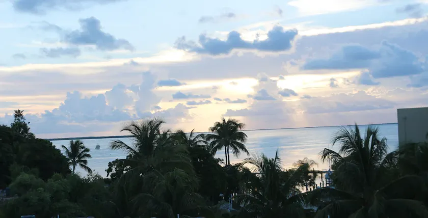 Perle ved havet, smuk lejlighed i Moon Bay Key Largo - Image 1