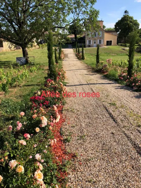 Allée des roses La Chapelle - Image 1
