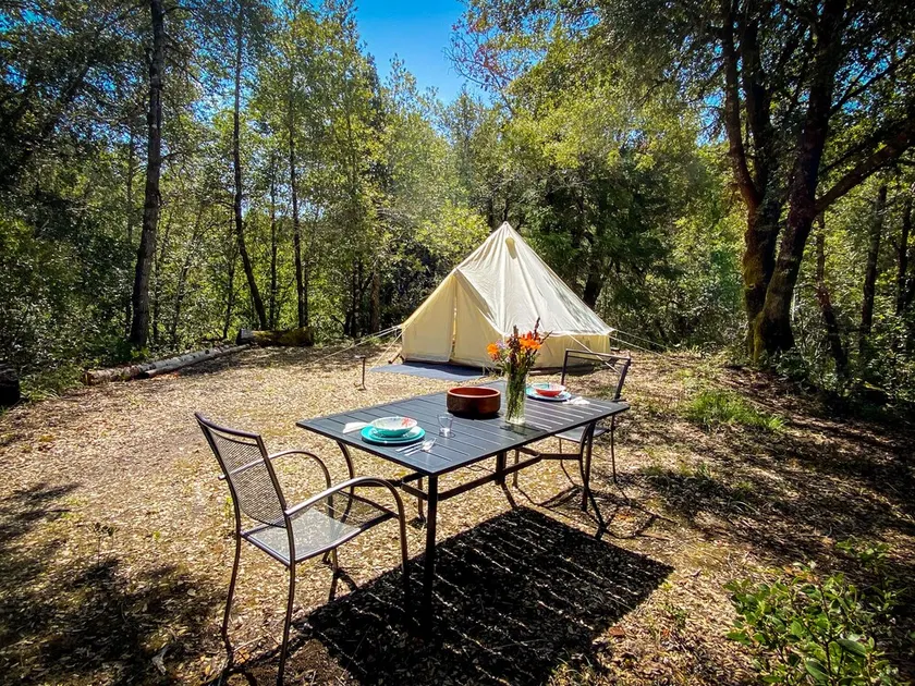 Glamping in the Redwoods, with hot tub! The Knoll - Image 1