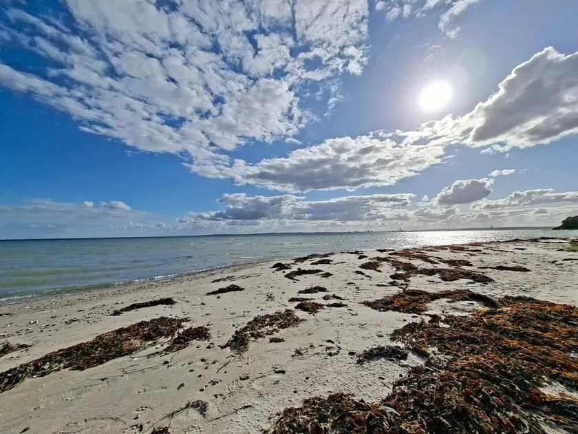 4 Star Holiday Home in Knebel - Image 1