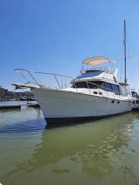 Bateau le Black Pearl, un appartement sur l'eau à Bordeaux. - Image 1