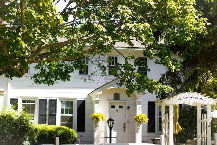 Historic 2-bedroom upstairs apartment close to beaches, town and vineyards. - Image 1