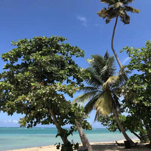 Aquatika 4401 Beach Retreat - Image 1