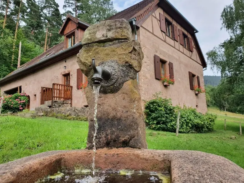 Old freestone farm built in 1880 in the middle of Alsace and nature - Image 1