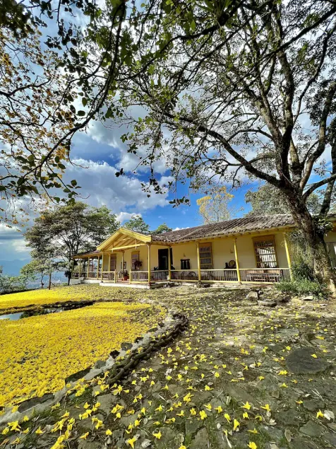 casa finca la palmera - Image 1
