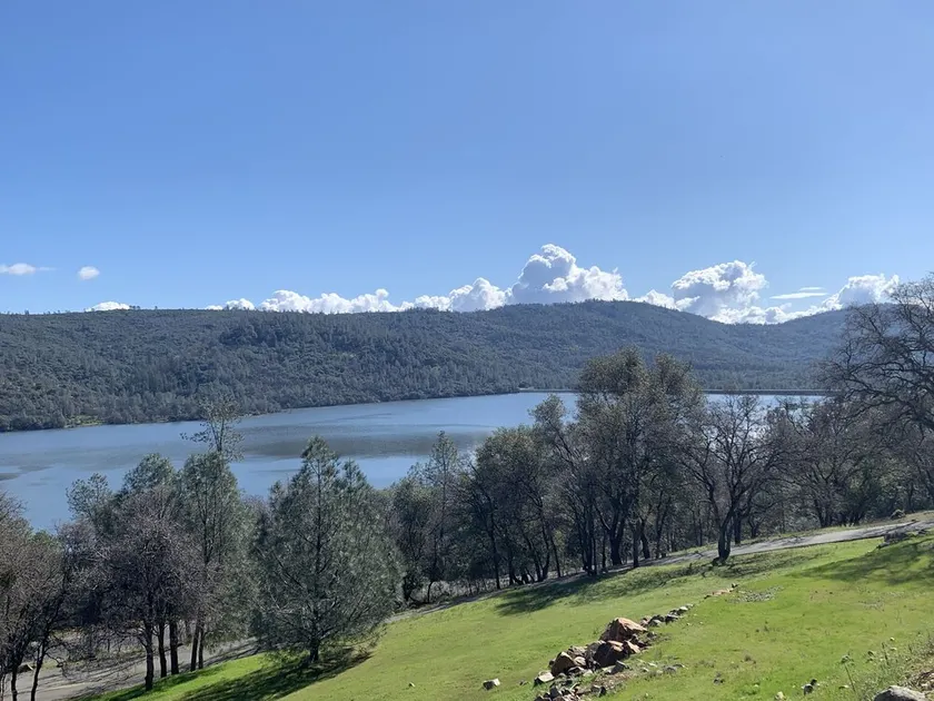Elegant Custom Home! Lake! Swim! Fish! Hiking/Walking Trails! Boat! - Image 1