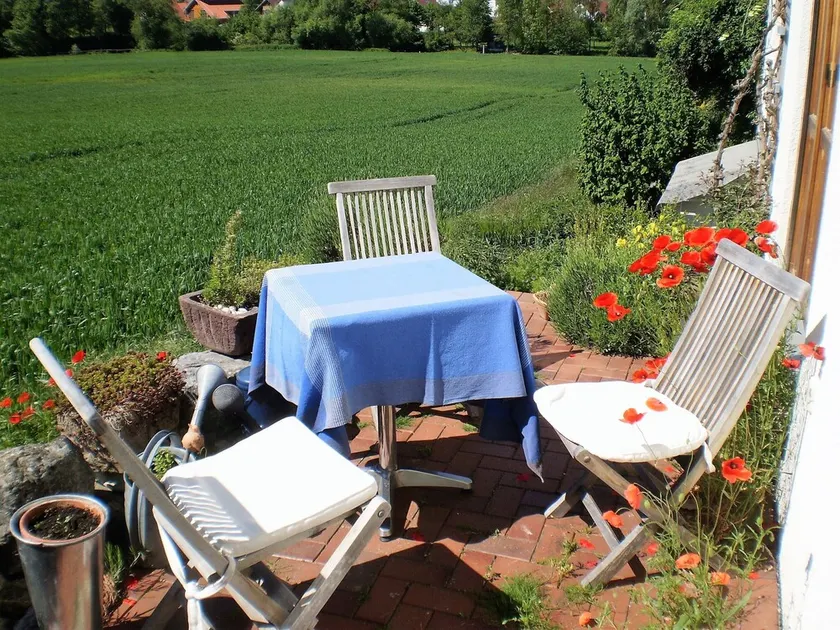 tranquilla oasi nel lago di Costanza in campagna con cura dei gatti - Image 1