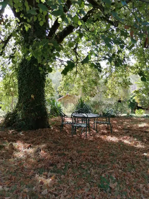 Fresh air and sunshine - Image 1