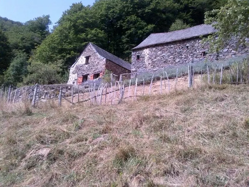 MOUNTAIN SHEEPFOLD - Image 1