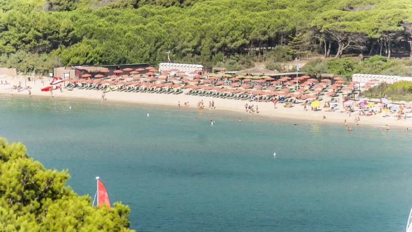 Appartamenti Lungomare Seafront - Image 1