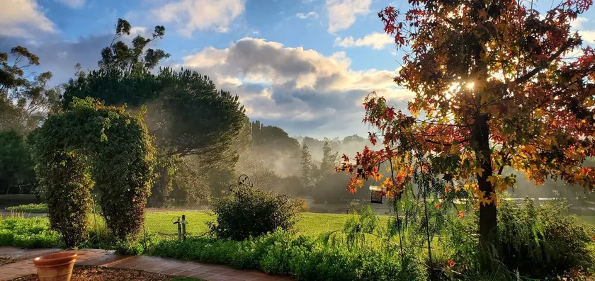 Bella Casita-A Quiet Gem Near Wine Country - Image 1