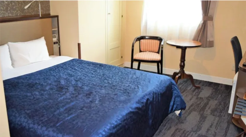 Standard Room only Double C Nonsmoking / Taito-ku Tokyo - Image 1
