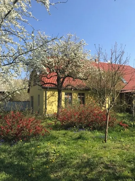 Vacanze sul Hollerhof a Oderbruch - Image 1