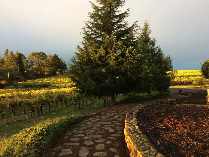 Gated Wine Country Estate Amid Hundreds of Acres of Vineyards - Image 1