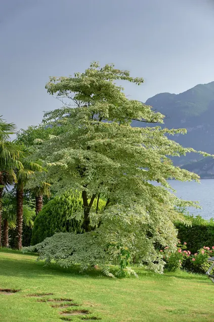 Villa Ucci - Image 1