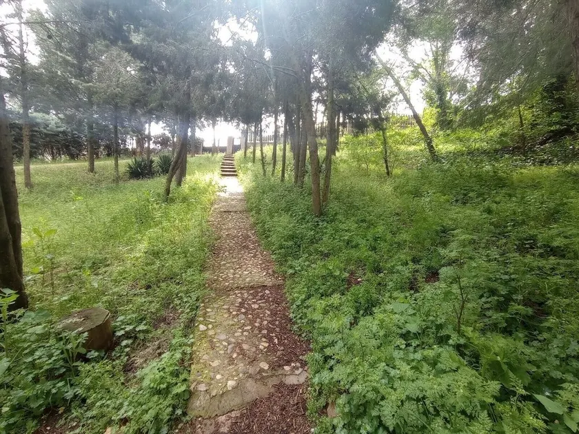 CABAÑA RURAL - Image 1
