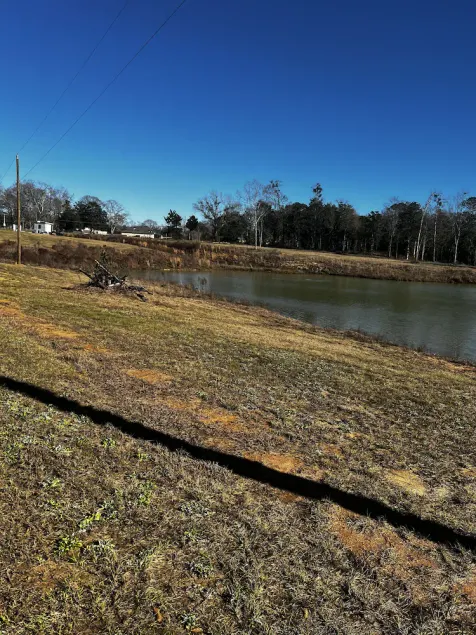 Spacious with plenty of acres - Image 1