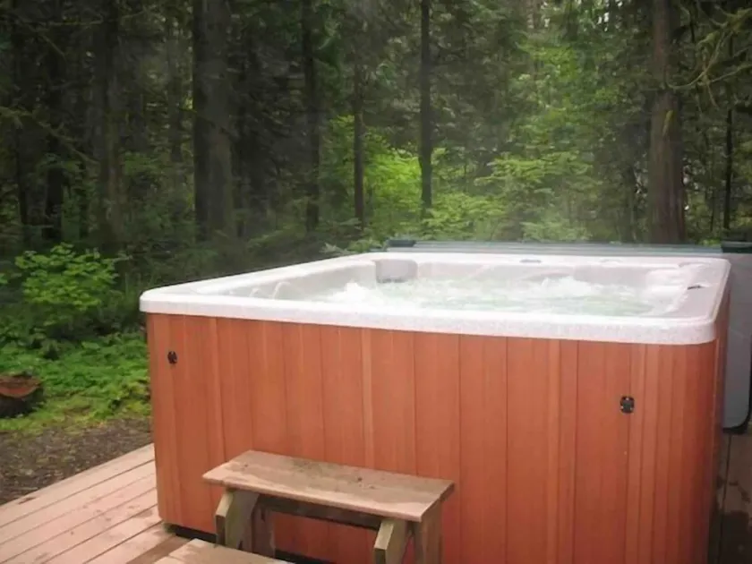 Snow Drift Cabin Hottub Wifi Dogs welcome - Image 1