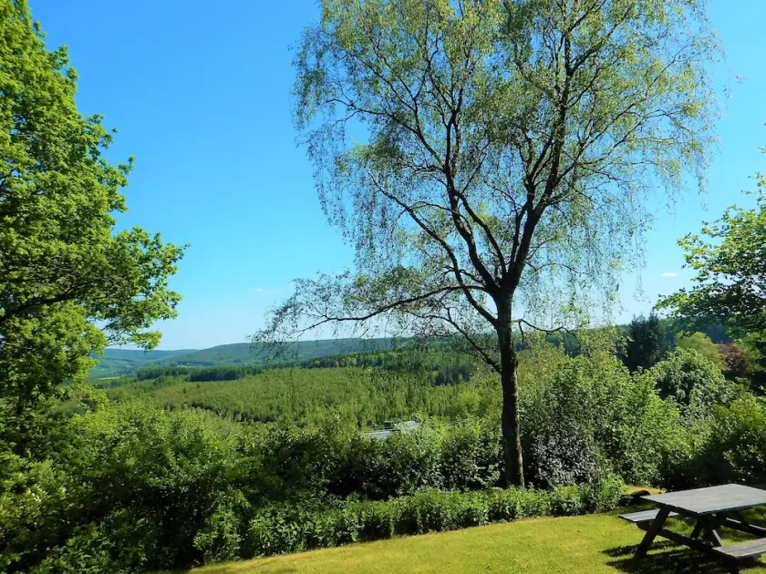 Graziosa villetta con vista mozzafiato sulla foresta delle Ardenne - Image 1