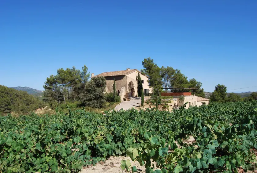 Near Barcelona, comfortable vacation apartment in country house surrounded by vineyards  - Image 1