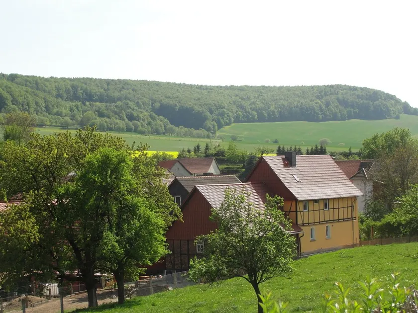 Family-friendly spacious and luxurious detached vacation home for 8 to 9 people - Image 1