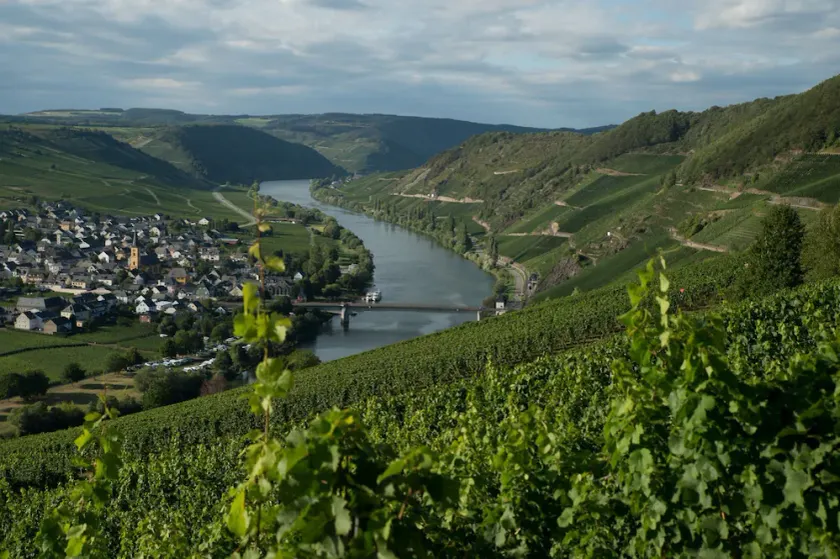 Ruhig Gelegenes Ferienhaus mit Sauna Direkt an der Mosel - Image 1