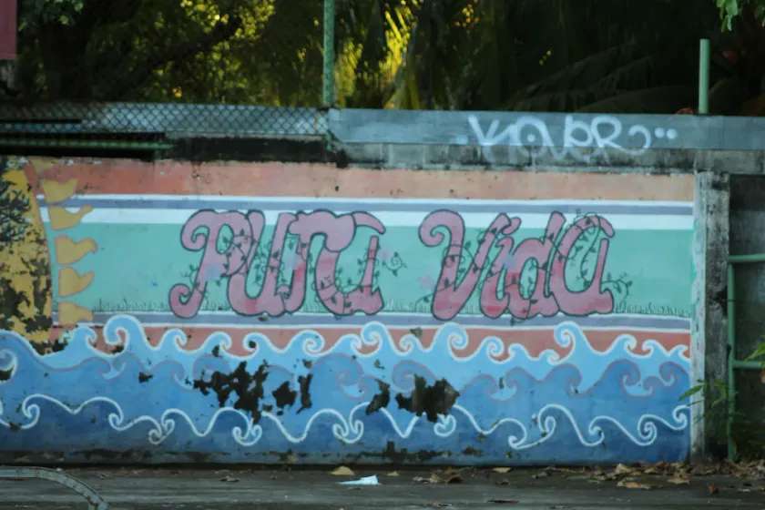 NOUVEAU!!! Pura Vida - Un petit avant-goût du Costa Rica - Image 1