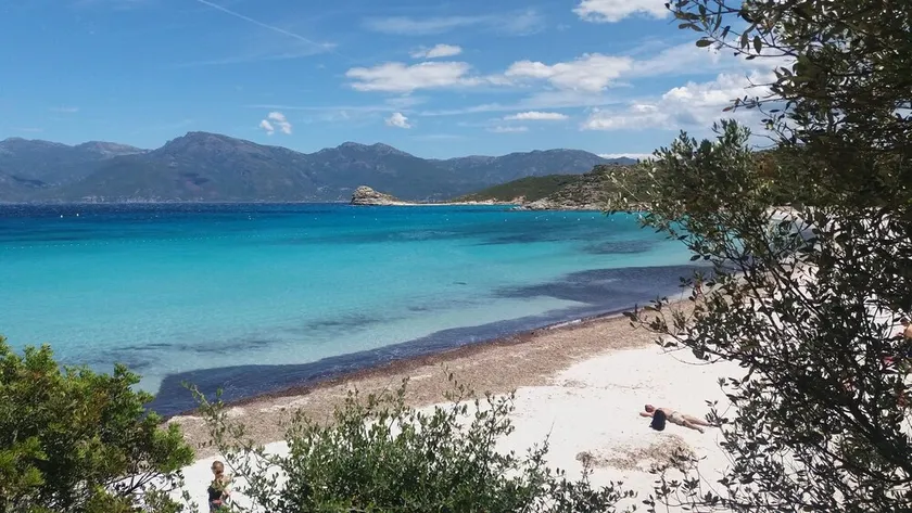 Seaside lejlighed i hjertet af Korsika, 7 personer komfortabelt - Image 1