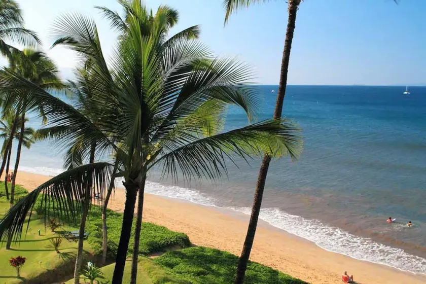 Fantastisk Ocean Front på Sugar Beach Resort # 519, for nylig renoveret, 1BDRM 1BA - Image 1