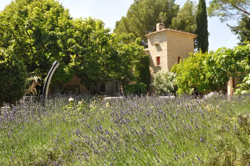 Wonderful 17th century Provencal farmhouse in the heart of 4ha of vineyards and olive trees - Image 1