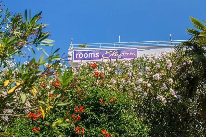 2 Room Apartment,red,500 Meter from \"Grate Beach\". for 5 People,Breakfast incl. - Image 1