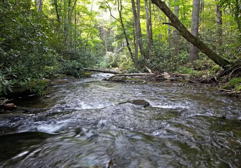 Riverbend Den 2BR Creekfront Cabin • Adventure Included • Sleeps 6 - Image 1